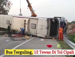 Daftar 12 Korban Tewas Kecelakaan Bus PO Handoyo Di Tol Cipali