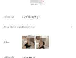 Diduga Marak Para Pelaku Prostitusi Online MiChat Di Pemalang, Pihak Terkait Segera Ambil Langkah !!!