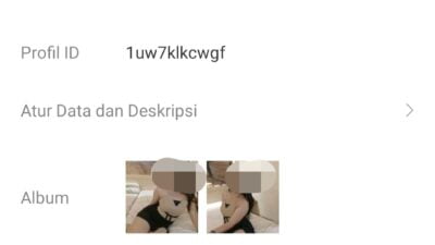 Diduga Marak Para Pelaku Prostitusi Online MiChat Di Pemalang, Pihak Terkait Segera Ambil Langkah !!!