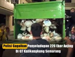 Polisi Gagalkan Penyeludupan 226 Ekor Anjing Di Semarang