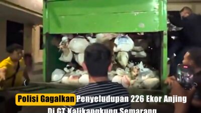 Polisi Gagalkan Penyeludupan 226 Ekor Anjing Di Semarang