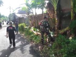 Kemanunggalan TNI dan Rakyat, Kerja Bakti Bersama Babinsa Karangasem Petarukan