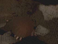 Pelajar Tawuran Di Flyover Pasar Rebo, Akibatnya Tangan Putus !!!