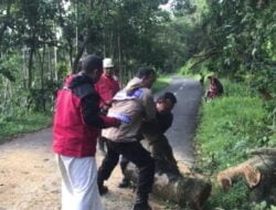 Gerak Cepat Polisi Bersama PMI Kabupaten Pekalongan dan Warga Evakuasi Pohon Tumbang