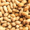 Kacang tanah
