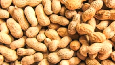 4 Manfaat Kacang Tanah Bagi Kesehatan