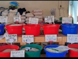 Harga Melangit Para Ibu di Purwokerto Kurangi Jumlah Pembelian Beras Dengan Cara Mengecer