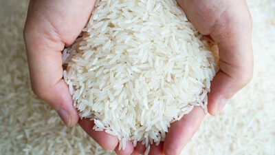 Ternyata Ini ? Kenapa Harga Beras M4hal !!!