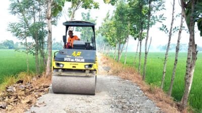 Alat Berat BOMAG Diterjunkan Satgas TMMD I TA 2024 Untuk Memadatkan Jalan
