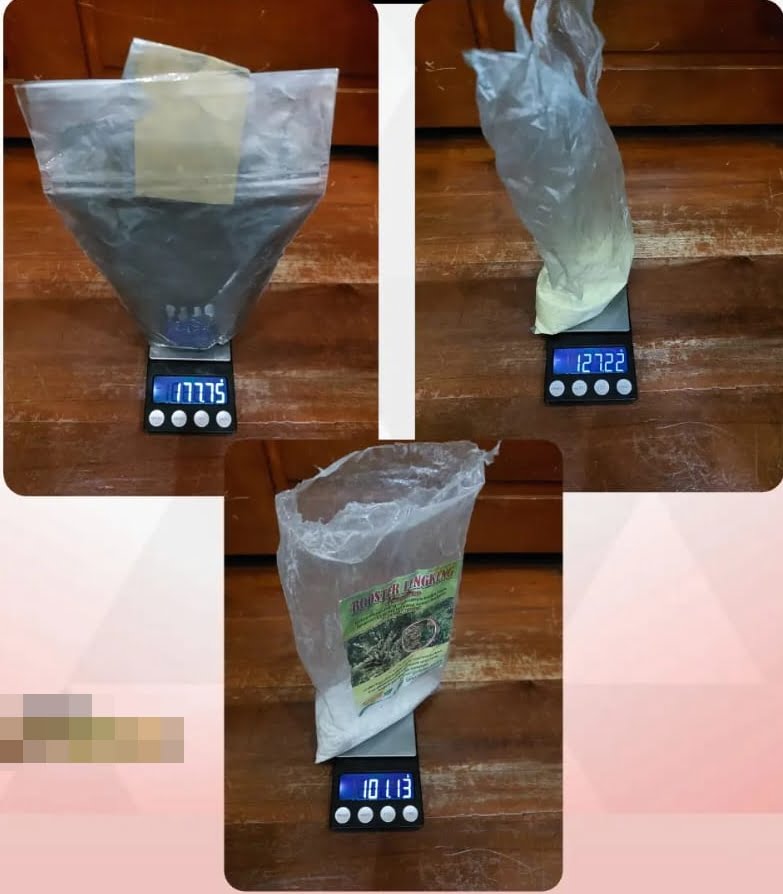 peracik obat petasan 
