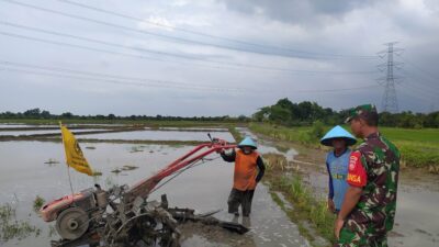 Babinsa Koramil 02 Taman: Motivator dan Pendamping Petani Pedurungan dalam LTT
