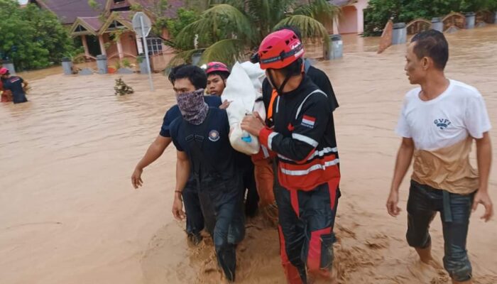 Tragedi Bencana Alam: Banjir dan Longsor Telan 14 Korban di Luwu