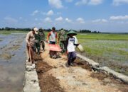 Meski Dibawah Terik Matahari Tidak Menyurutkan Semangat Satgas TMMD Bersama Masyarakat Kerjakan Talud