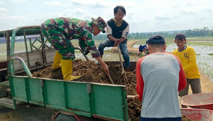 Langsir Material Jonder Transportasi Andalan Satgas TMMD Dalam Pengerjaan Sasaran Fisik