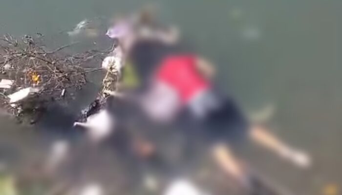 Geger Ditemukan Mayat Wanita Mengambang di Sungai Kaliyasa Cilacap