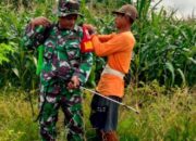 Wujudkan Lingkungan Bersih Babinsa Koramil 0825/05 Kalibaru Melaksanakan Kerja Bakti Bersama Warga