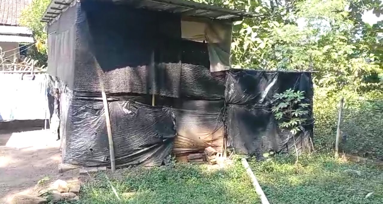 Rumah Plastik 