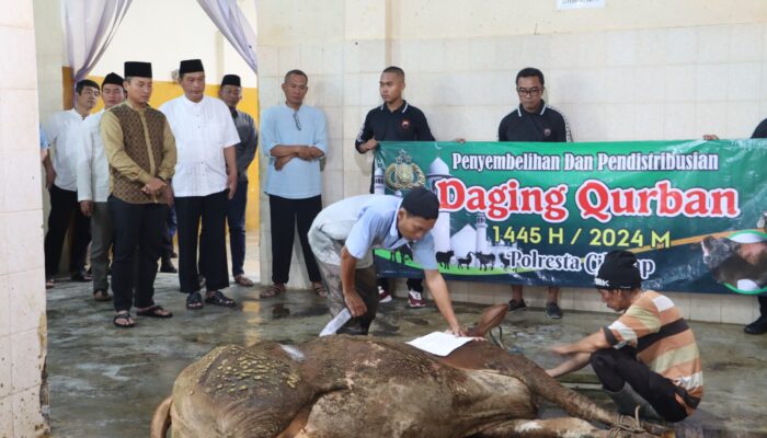 Hari Raya Idul Adha Polresta Cilacap Qurban 5 Ekor Sapi dan 3 Ekor Kambing