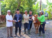 Polres Pekalongan Kurban 7 Sapi dan 2 Kambing, Diantaranya Disalurkan ke Takmir Masjid dan Pondok Pesantren