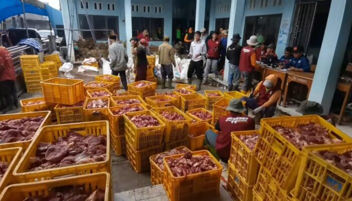Luar Biasa Satu Desa Warganya Berkurban Hingga Terkumpul Daging Seberat 25 Ton