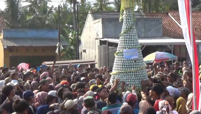 Ribuan Warga Berebut Gunungan Telur Bebek Warnai Ruwat Bumi di Cilacap