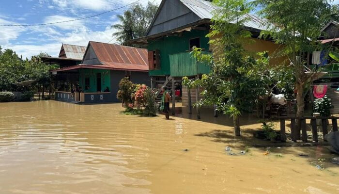 Banjir Rendam Ribuan Rumah di Sulawesi Selatan, Wajo Terdampak Paling Parah