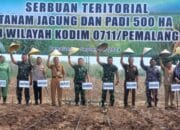 Ketahanan Pangan: Fondasi Utama Kestabilan Negara