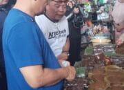Ahmad Luthfi dan Taj Yasin Blusukan di Kabupaten Pemalang