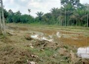 Terbas Layang Dirantau Rasau Terkesan Asal Jadi, Warga Kelukan Kegiatan Terbas Layang