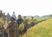 Dipertan Pemalang Diminta Kembangkan Teknologi untuk Regenerasi Petani