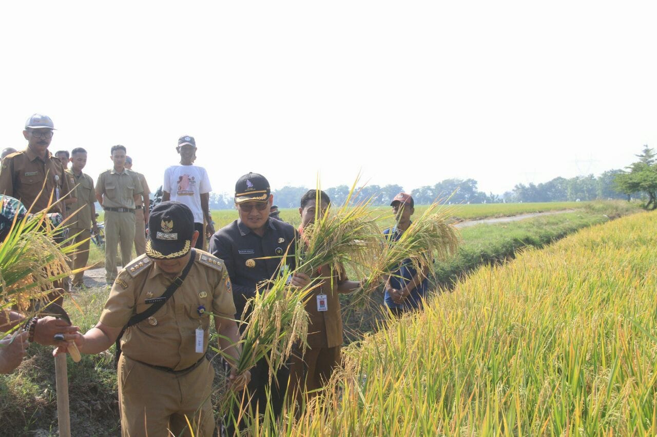 Dipertan Pemalang Diminta Kembangkan Teknologi untuk Regenerasi Petani