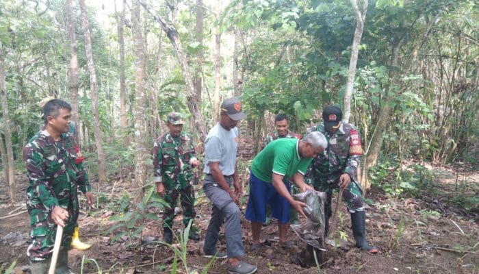 Koramil Jeruklegi Implementasikan Program Ketahanan Pangan dengan Menanam Puluhan Bibit Pohon Sukun