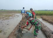 Meningkatkan Ketahanan Pangan Melalui Kerja Bakti: Kisah Inspiratif dari Desa Tegalsari Timur