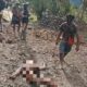 TPNPB Kodap XVI Yahukimo Tindak Tegas: Tembak Mati Pasukan TRWP dan Serukan Penghentian Aktivitas di Papua Pegunungan