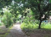 Kasus Dugaan Pelecehan Seksual di Desa Glandang Bantarbolang, Ini Sosok Pelaku SG di Mata Warga !