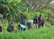 Aksi Nyata Kodim 0711/Pemalang Berantas Hama Tikus di Kelurahan Kebondalem