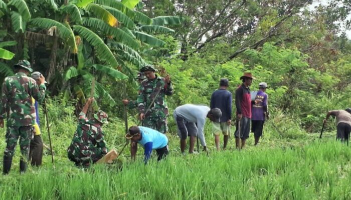 Aksi Nyata Kodim 0711/Pemalang Berantas Hama Tikus di Kelurahan Kebondalem