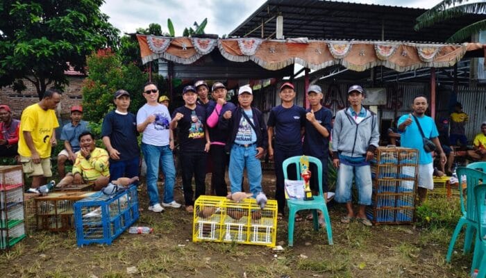 Spektakuler! 400 Burung Merpati Beradu Cepat di AMK Cup 2025