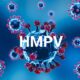 Kemenkes RI Imbau Masyarakat Tetap Waspada Virus HMPV Mirip Covid-19