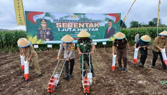 Sukseskan Swasembada Pangan, Kodim 0711/Pemalang Gelar Penanaman Jagung Serentak di Randudongkal