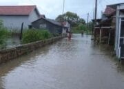 Banjir Rendam Dua Dusun di Desa Mojo, Pemdes Mojo Bangun Dapur Umum