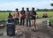 Sinergi Anggota Dewan, TNI, Kades, Kelompok Tani, dan Bulog untuk Ketahanan Pangan di Desa Kandang