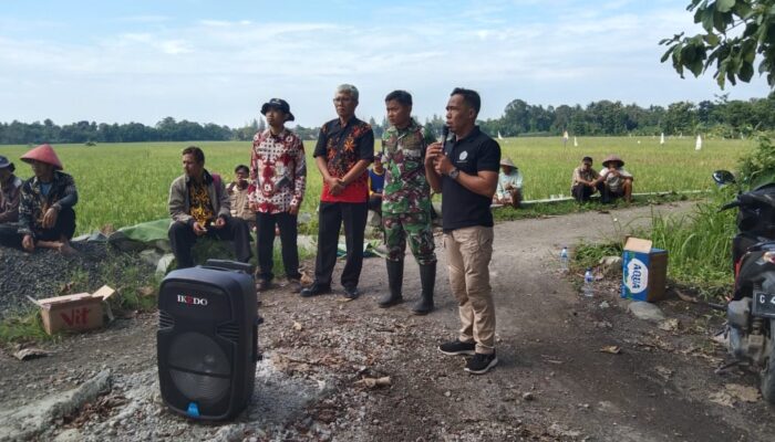 Sinergi Anggota Dewan, TNI, Kades, Kelompok Tani, dan Bulog untuk Ketahanan Pangan di Desa Kandang