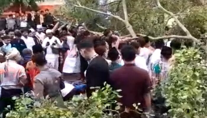 Tragedi Pohon Tumbang di Alun-alun Pemalang, 2 Meninggal, Puluhan Luka-luka