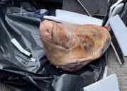 Paket Kepala Babi Teror Kebebasan Pers, Setri Yasra Kecam Keras Aksi Tersebut