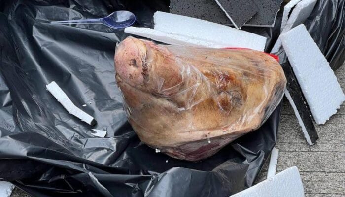 Paket Kepala Babi Teror Kebebasan Pers, Setri Yasra Kecam Keras Aksi Tersebut