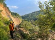 Longsoran Tebing Setinggi Seratus Meter di Tonjong Brebes Diduga Menimbun Seorang Lansia