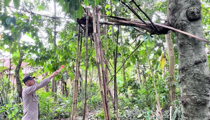 Ledakan Mercon di Cilacap Melukai Tiga Anak, Polisi Himbau Warga Waspada