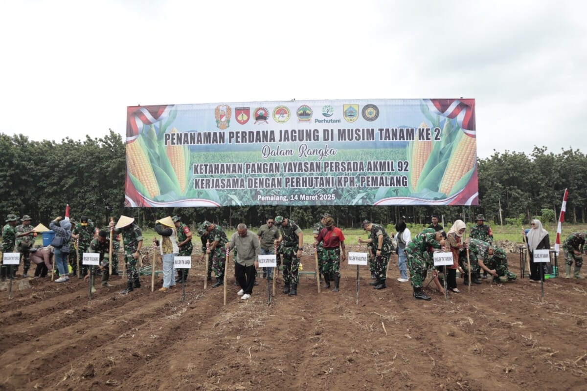 Mewujudkan Ketahanan Pangan, Yayasan Persada Akmil 92 Tanam Jagung Perdana di Pemalang
