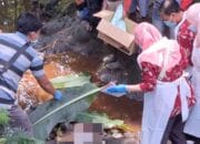 Geger! Warga Pulosari Temukan Mayat Bayi Perempuan di Aliran Sungai Botor